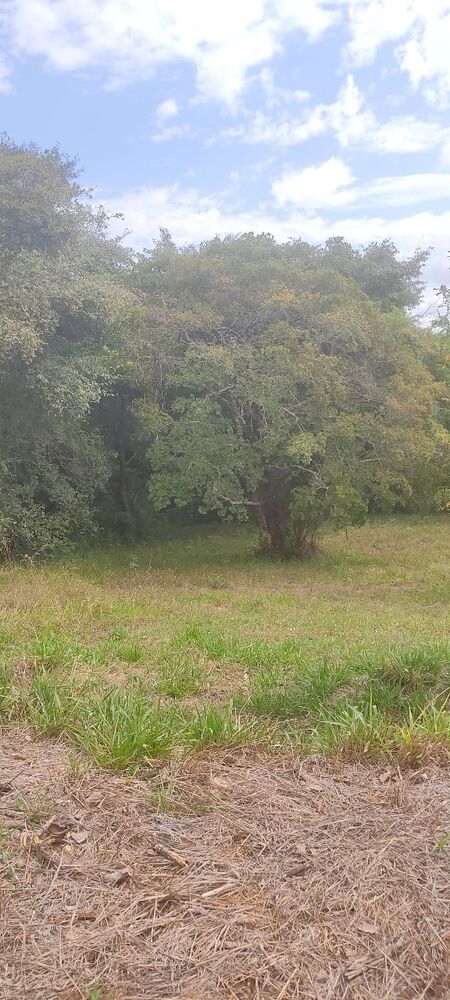 Terreno, 1000 m² - Foto 1