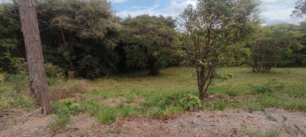 Terreno, 1000 m² - Foto 3