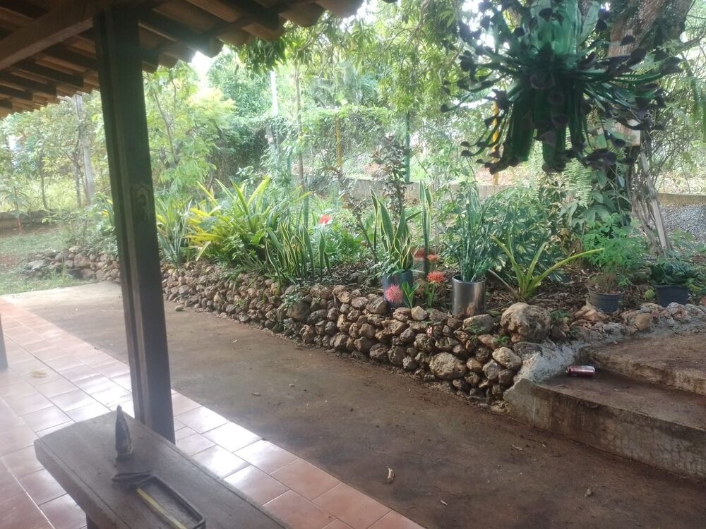Chácara, 2 quartos - Foto 10