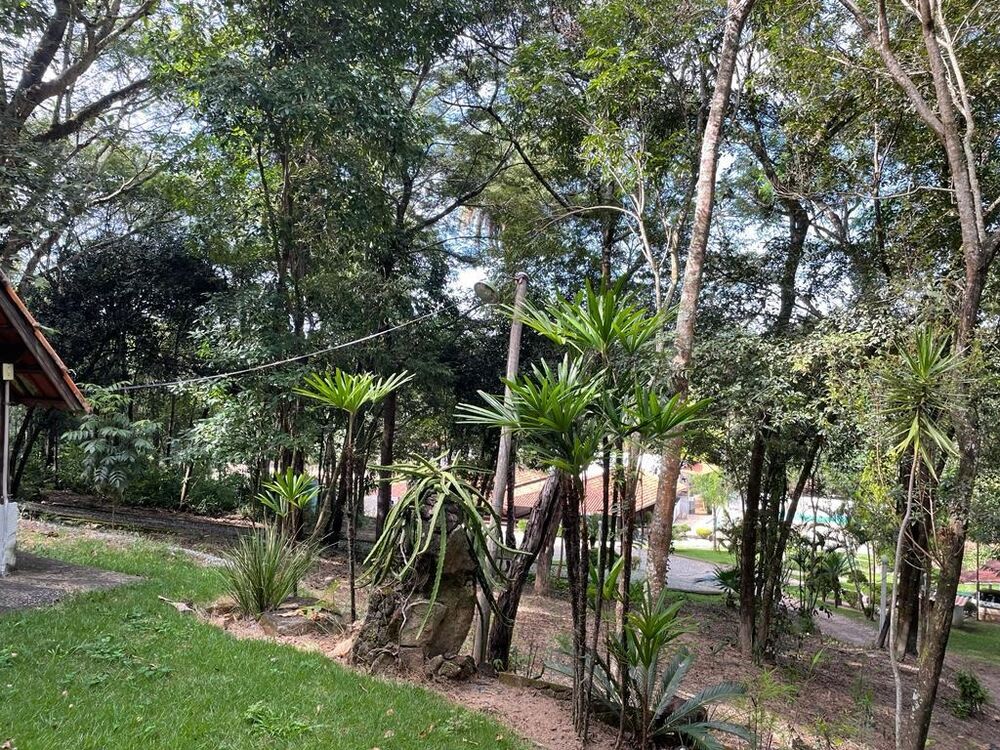 Chácara à venda com 12 quartos - Foto 7