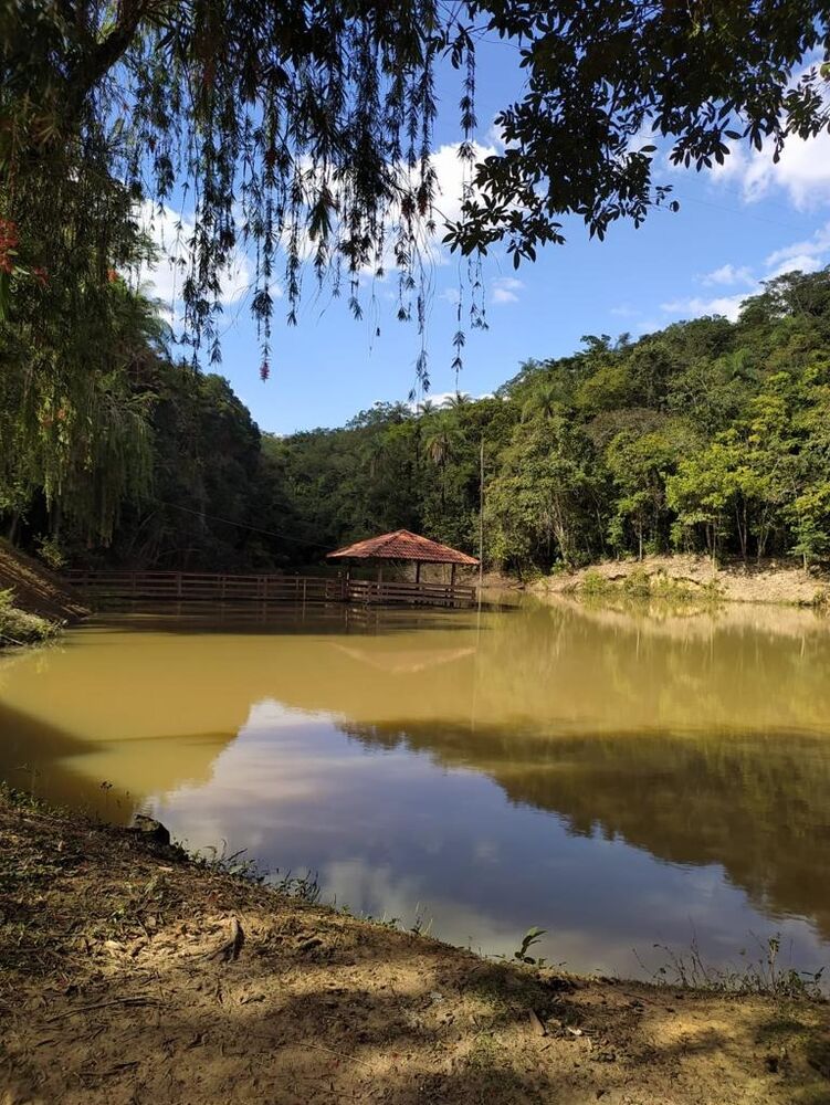 Chácara à venda com 12 quartos - Foto 4