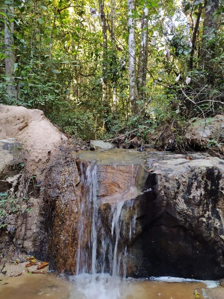 Chácara à venda com 12 quartos - Foto 12