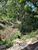 Terreno, 1000 m² - Foto 5