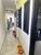 Casa, 4 quartos, 180 m² - Foto 5
