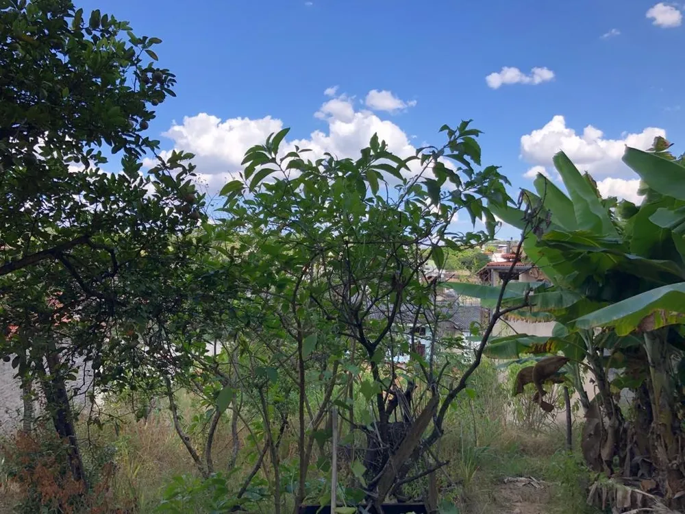 Terreno, 360 m² - Foto 3