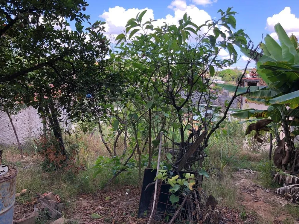 Terreno, 360 m² - Foto 4