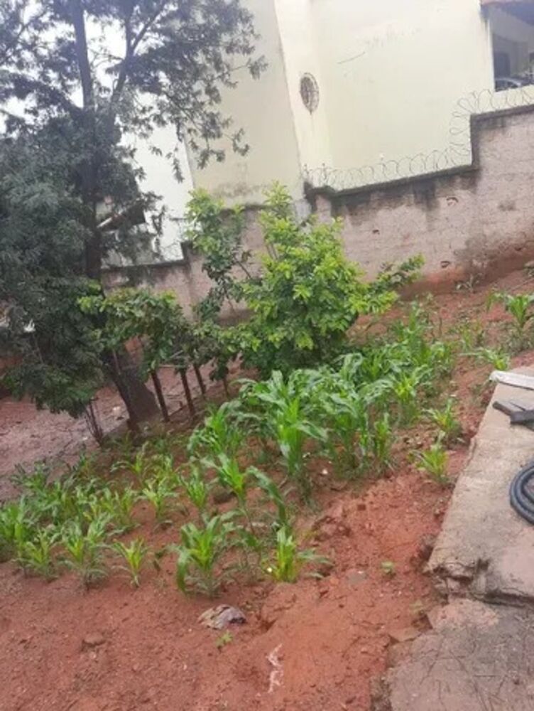 Terreno, 330 m² - Foto 4