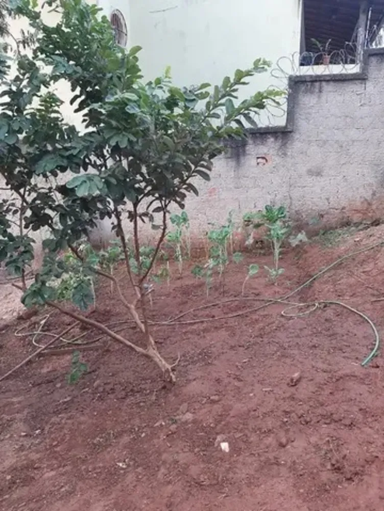 Terreno, 330 m² - Foto 10