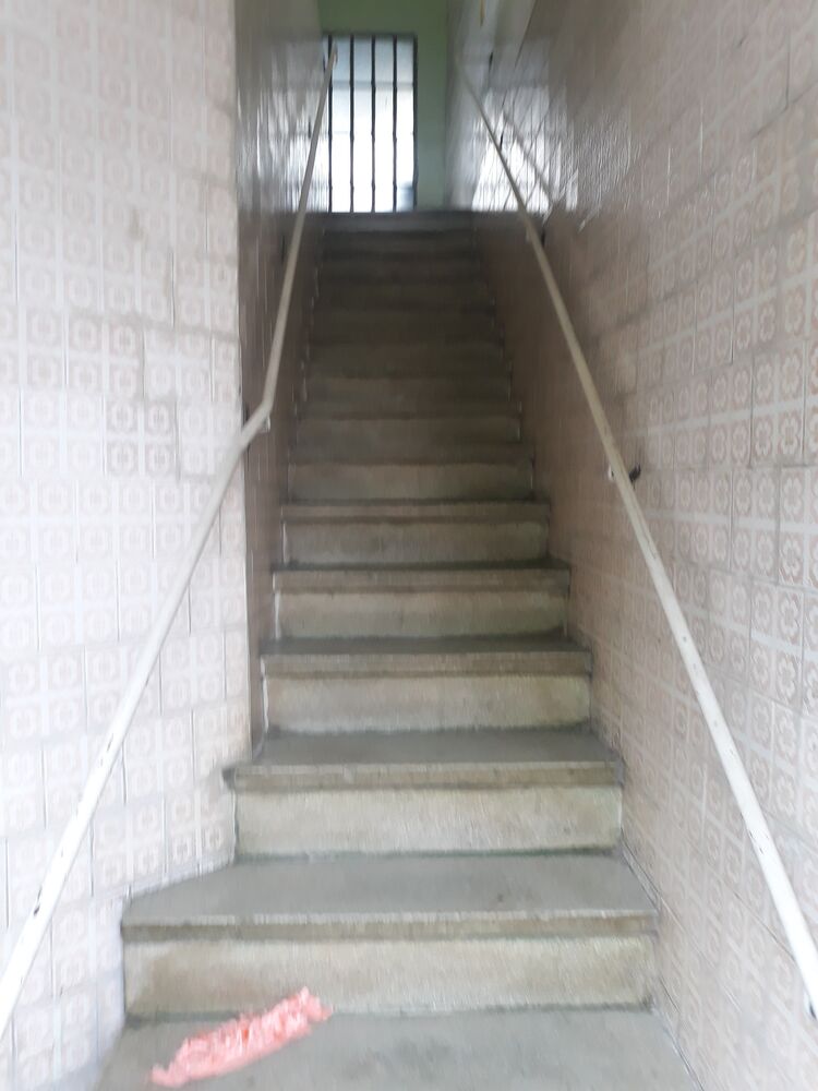 Casa, 3 quartos, 240 m² - Foto 11