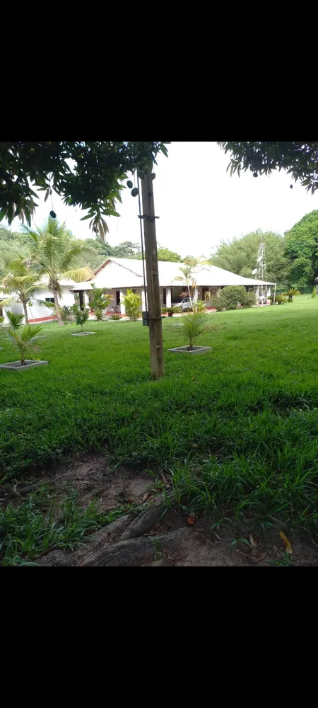 Fazenda, 10 hectares - Foto 3
