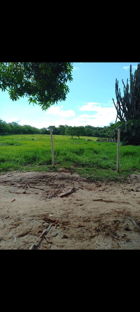 Fazenda, 10 hectares - Foto 4