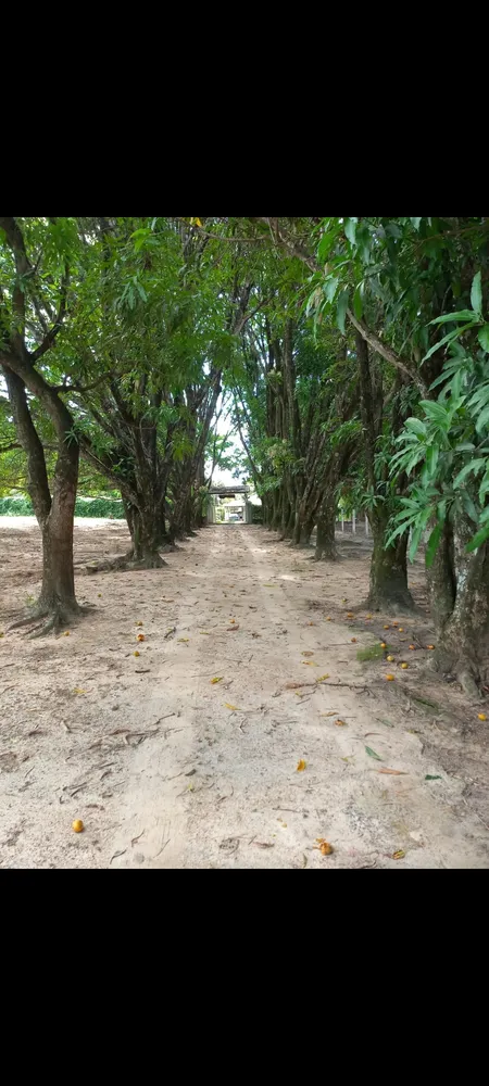 Fazenda, 10 hectares - Foto 14