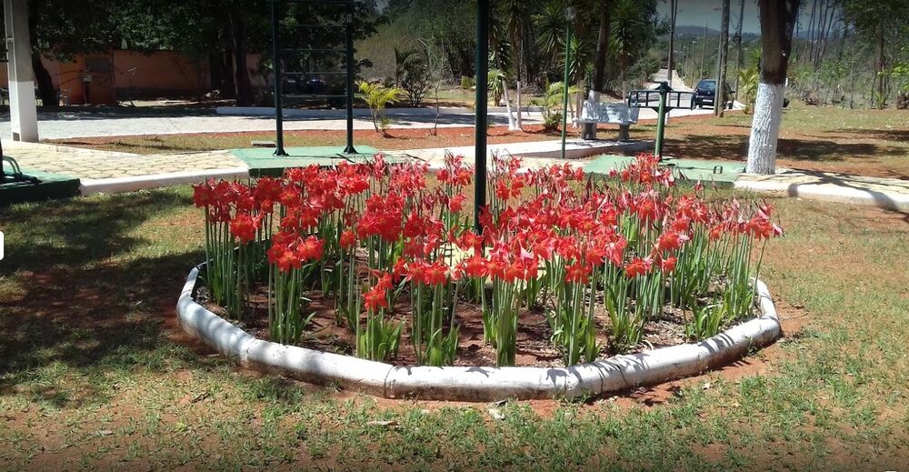 Terreno, 2000 m² - Foto 10