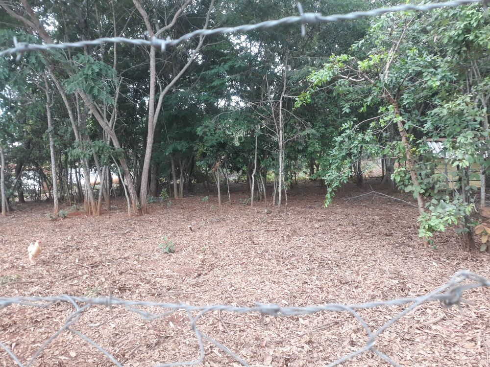 Terreno, 2000 m² - Foto 4