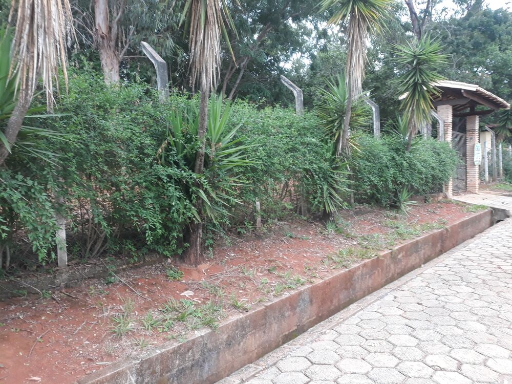 Terreno, 2000 m² - Foto 5