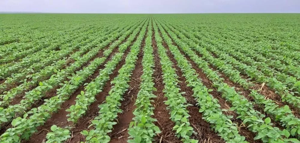 Fazenda à venda - Foto 2