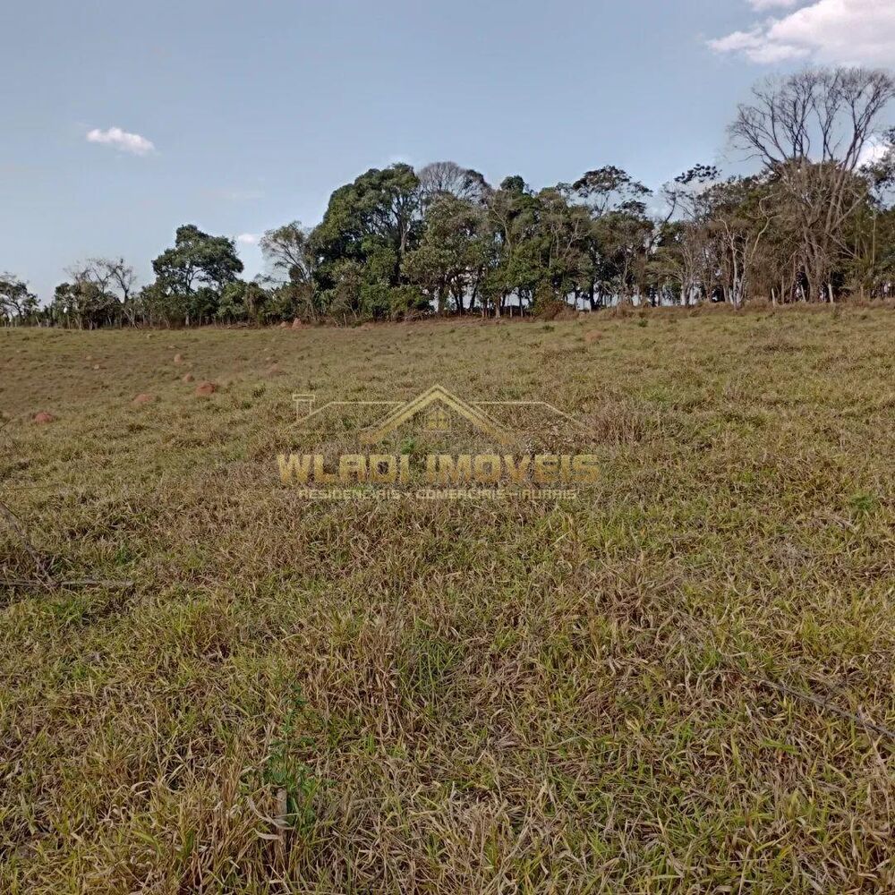 Fazenda-Sítio-Chácara, 6 m² - Foto 4