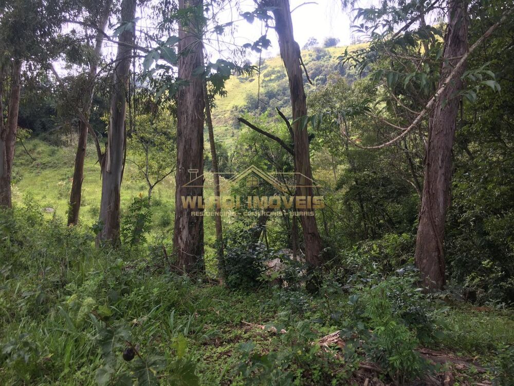 Sítio, 6 m² - Foto 3