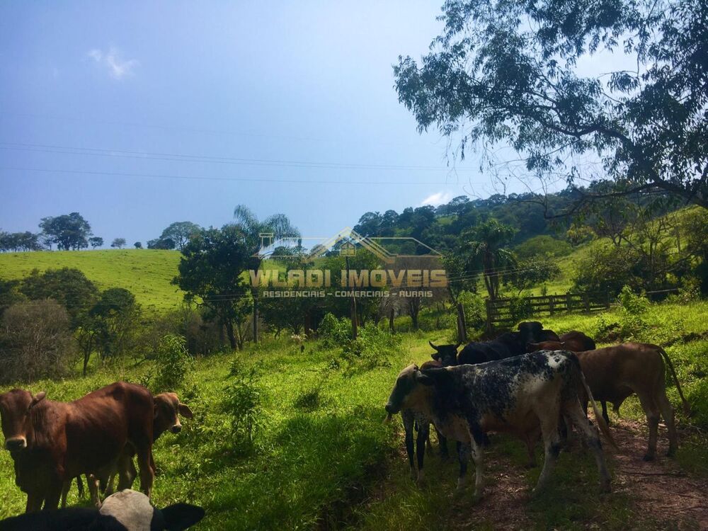 Sítio, 6 m² - Foto 4