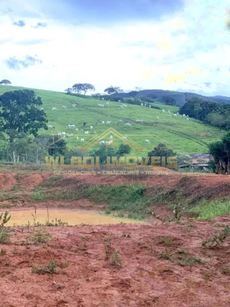 Fazenda à venda, 300m² - Foto 2