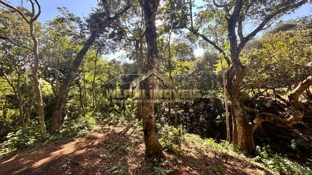 Chácara, 2 quartos, 2000 m² - Foto 4