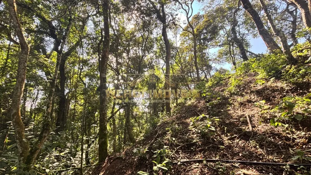 Chácara, 2 quartos, 2000 m² - Foto 6