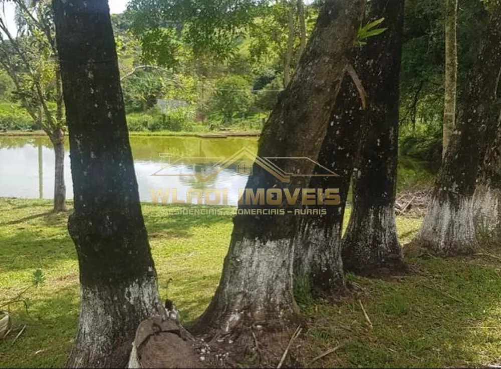 Chácara, 4 hectares - Foto 6