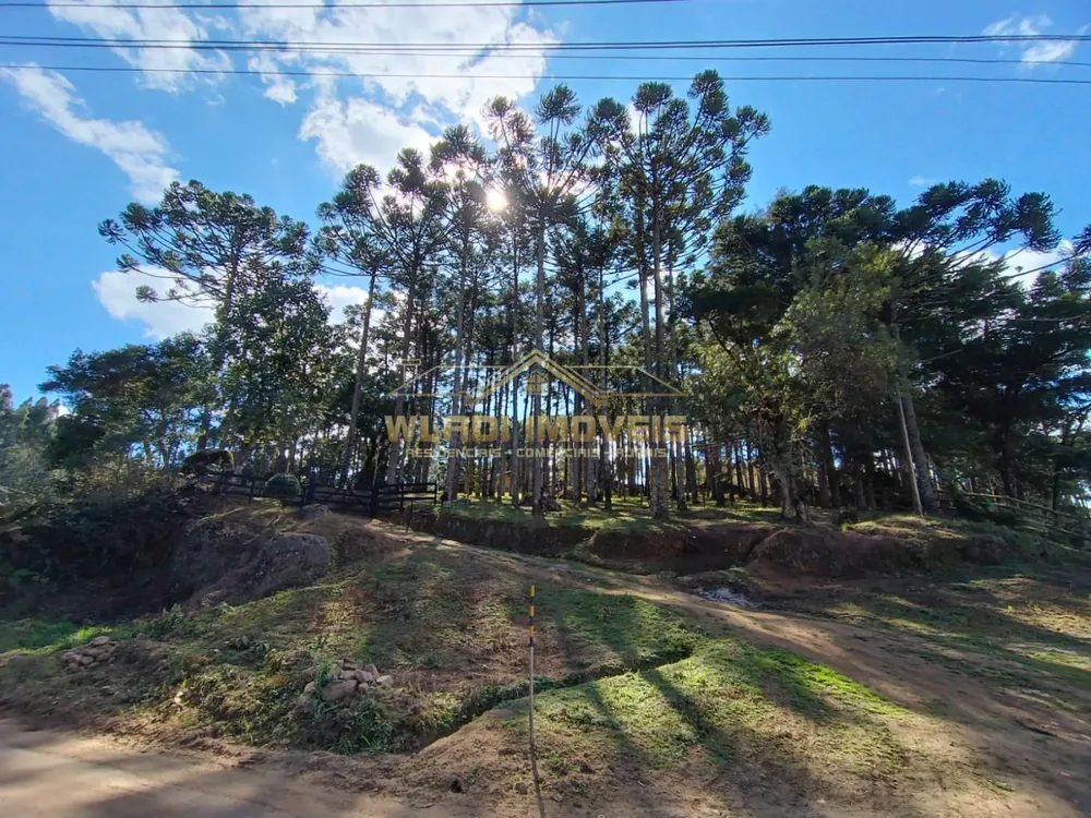Fazenda, 100 m² - Foto 7