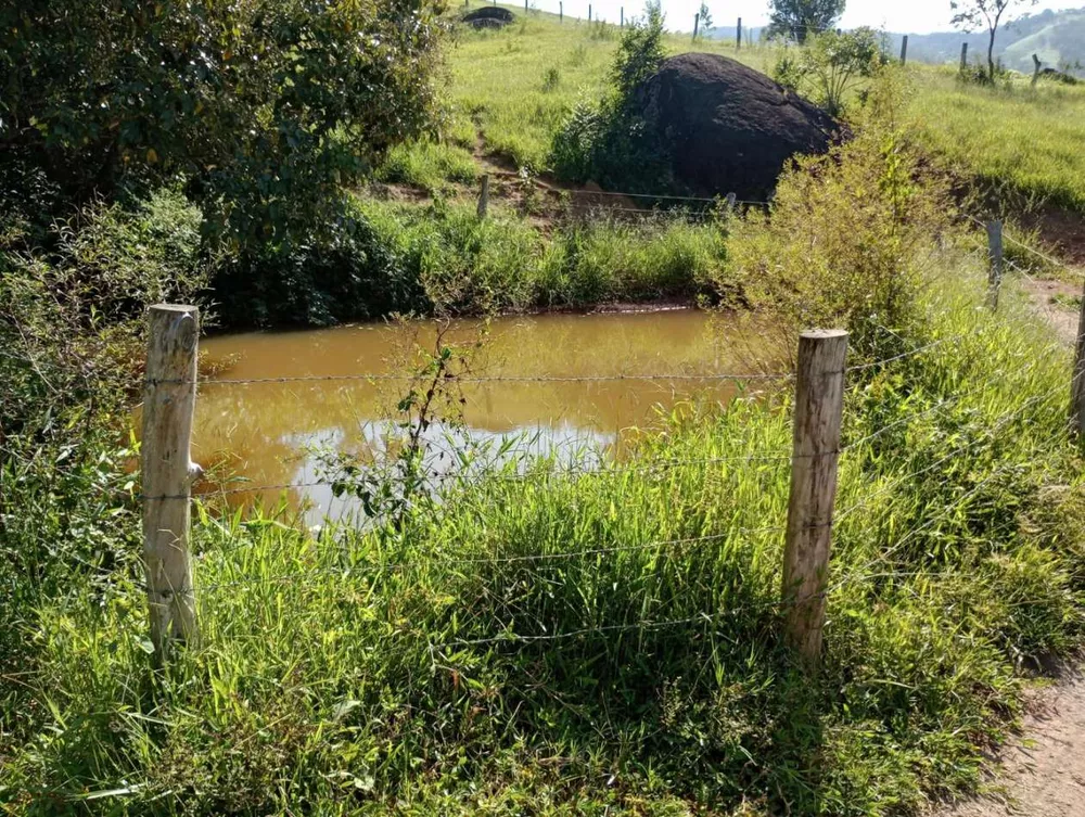 Terreno, 7 hectares - Foto 7