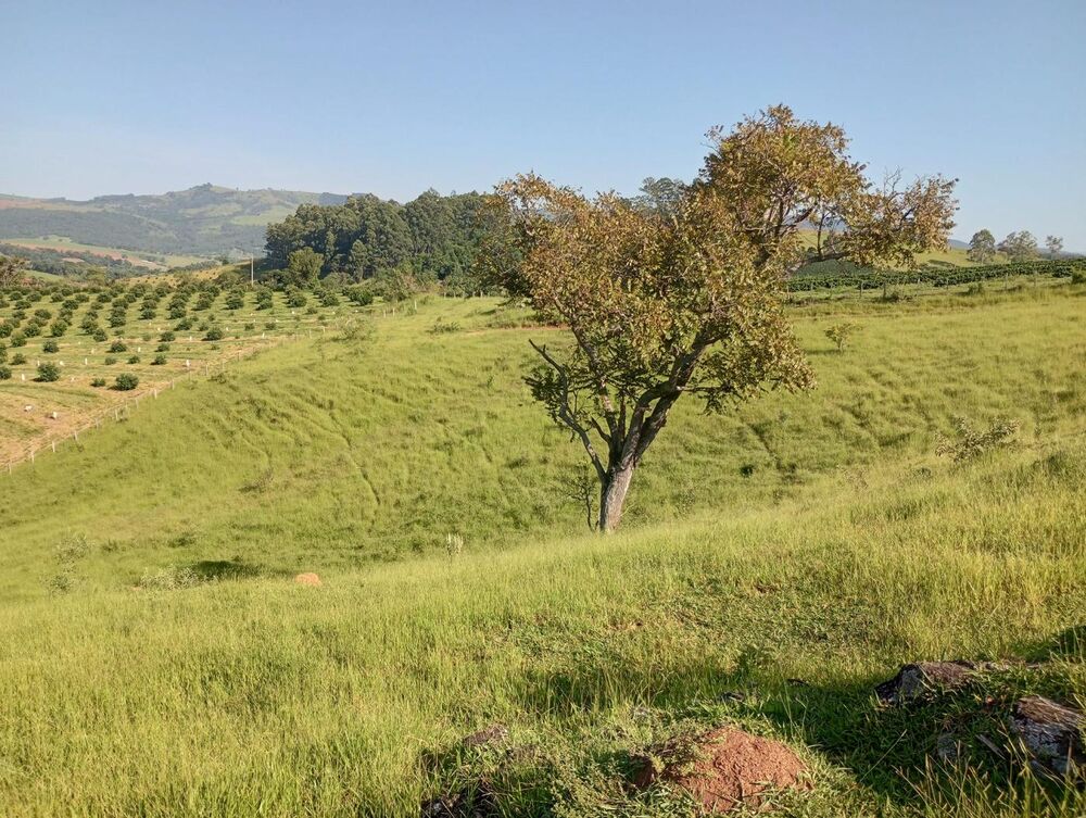 Terreno, 7 hectares - Foto 13