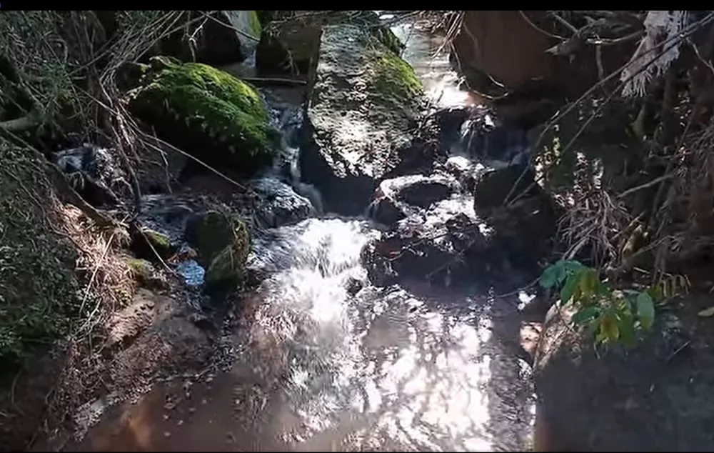 Terreno, 7 hectares - Foto 1