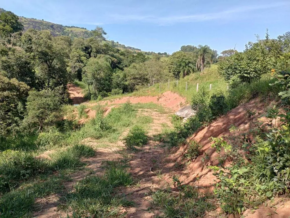 Terreno, 7 hectares - Foto 8