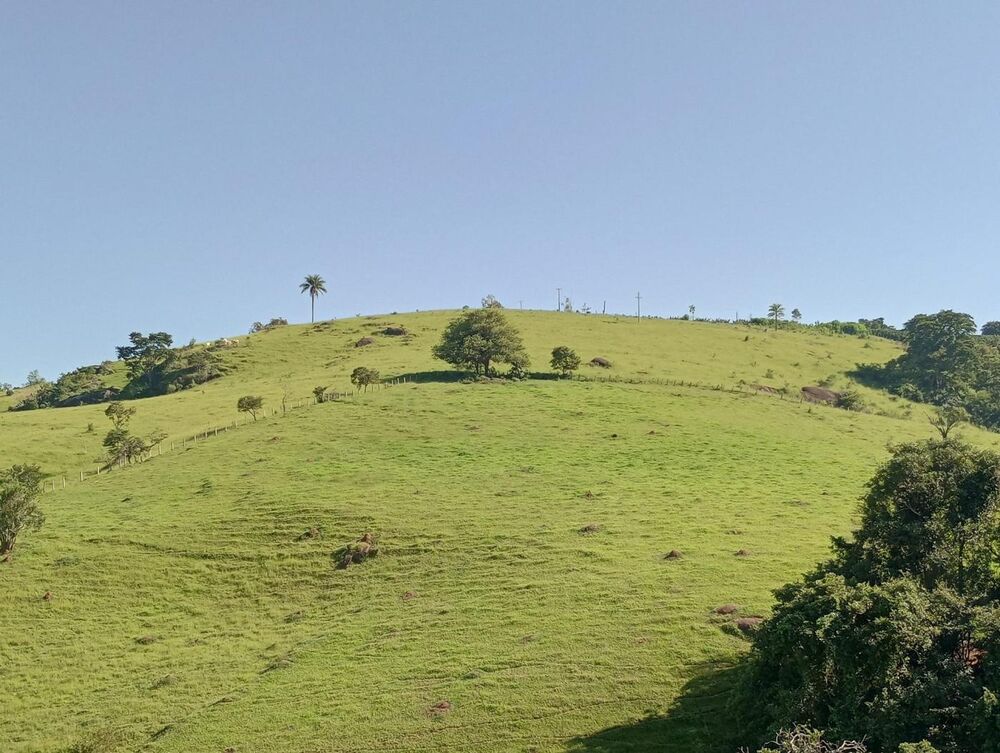 Terreno, 7 hectares - Foto 11