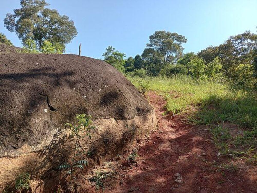 Terreno, 7 hectares - Foto 15