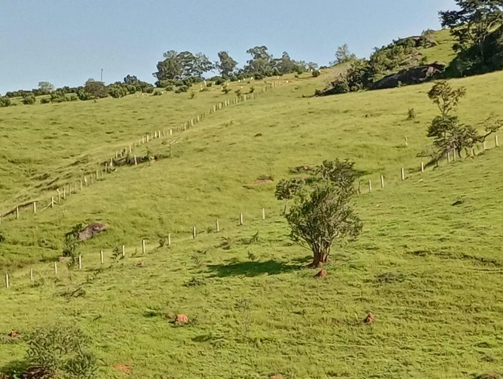 Terreno, 7 hectares - Foto 4