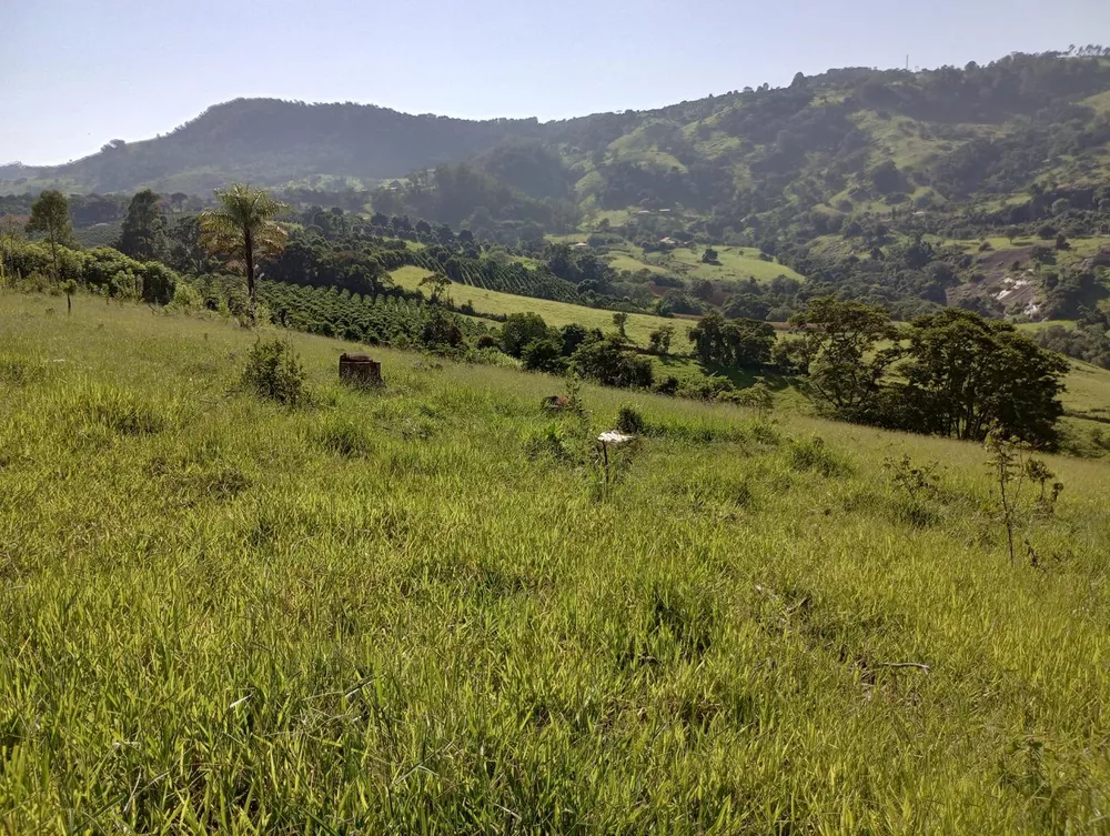 Terreno, 7 hectares - Foto 3