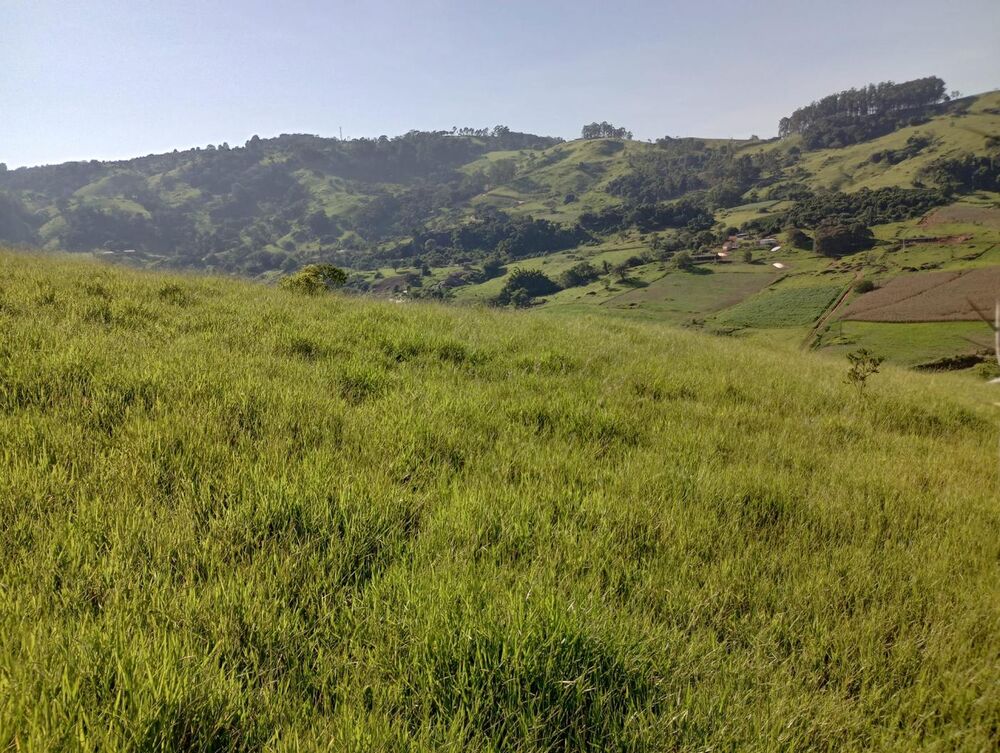 Terreno, 7 hectares - Foto 12