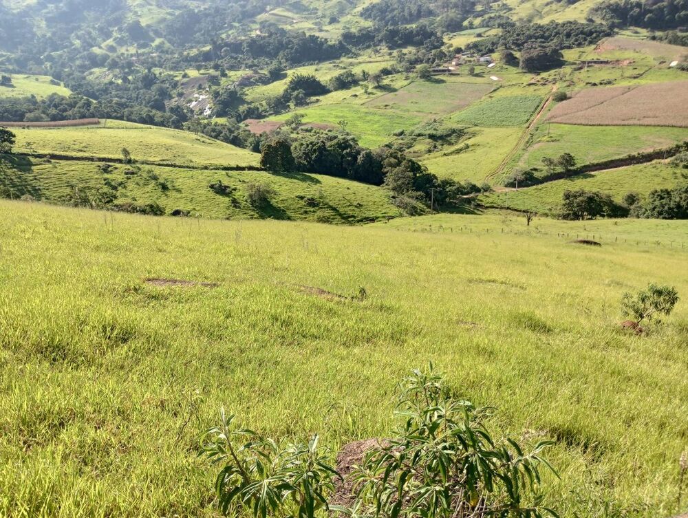 Terreno, 7 hectares - Foto 17