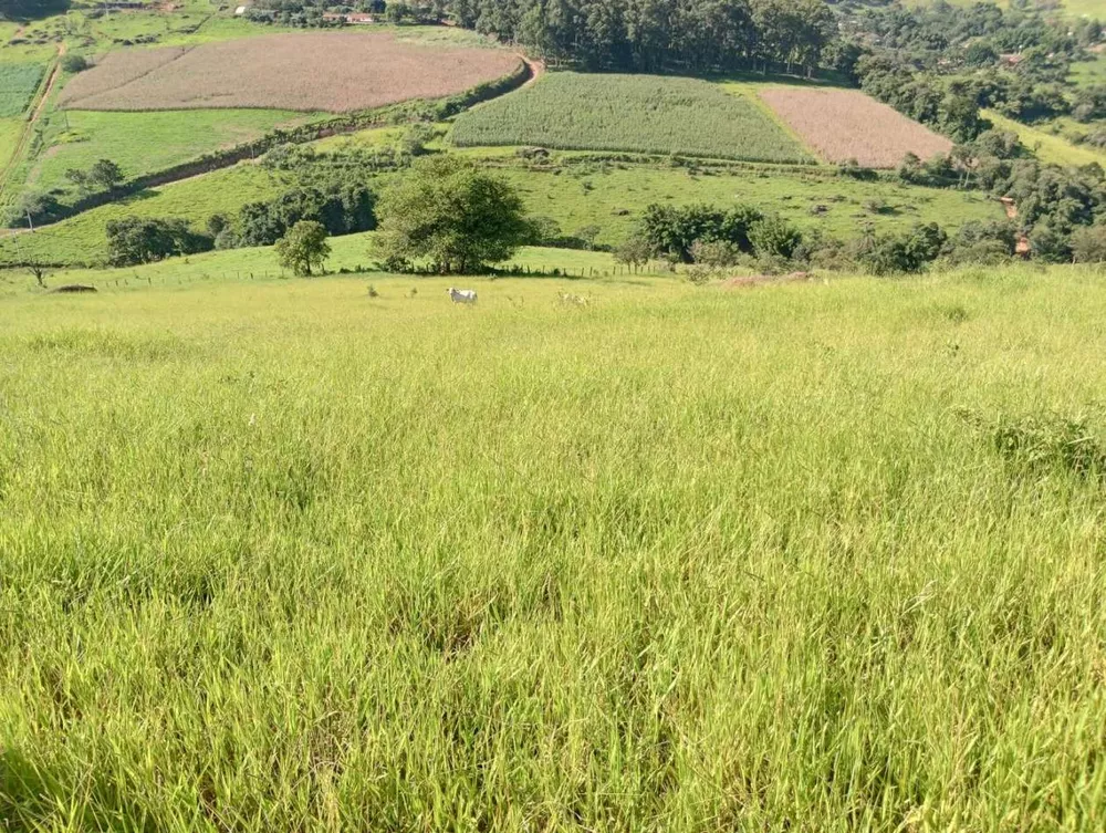 Terreno, 7 hectares - Foto 10