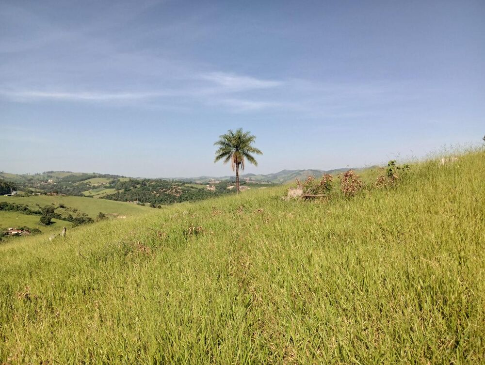 Terreno, 7 hectares - Foto 16