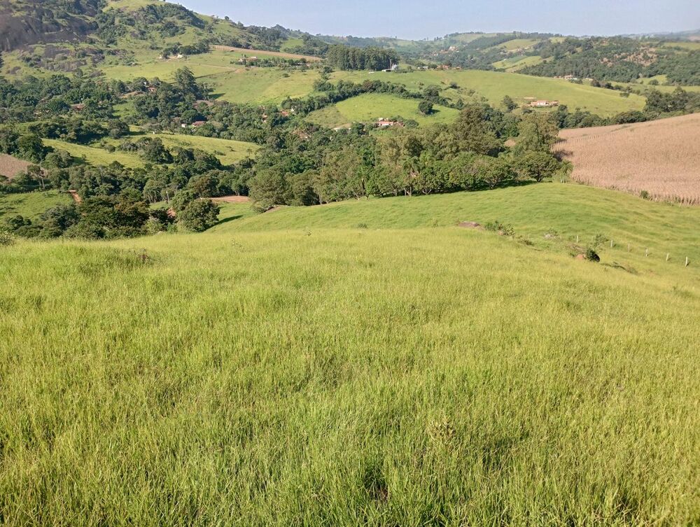 Terreno, 7 hectares - Foto 14