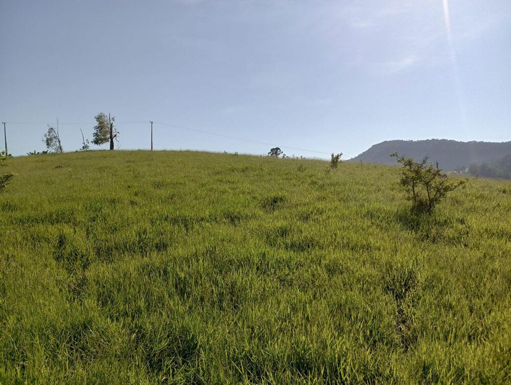 Terreno, 7 hectares - Foto 9