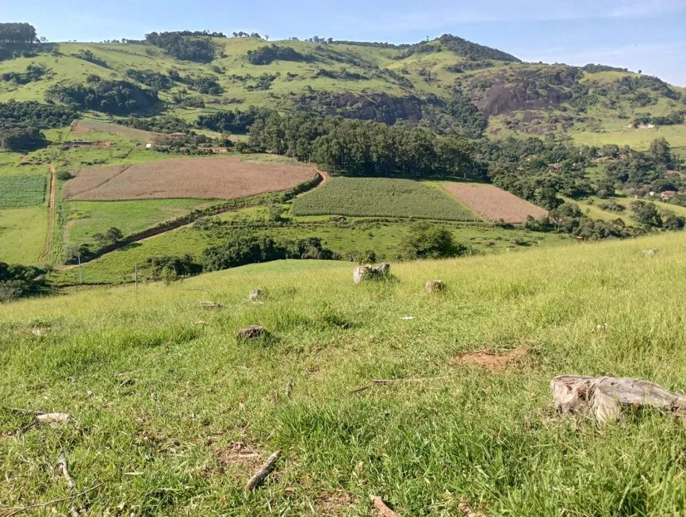 Terreno, 7 hectares - Foto 6