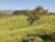Terreno, 7 hectares - Foto 4