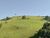 Terreno, 7 hectares - Foto 2