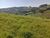 Terreno, 7 hectares - Foto 3