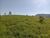 Terreno, 7 hectares - Foto 1