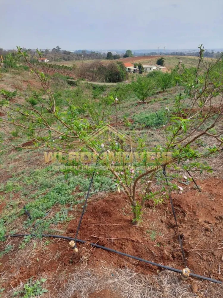 Loteamento e Condomínio, 3 hectares - Foto 9