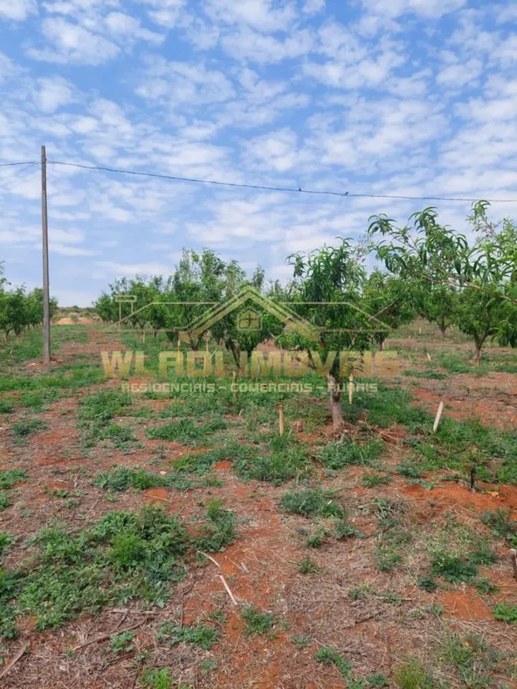 Loteamento e Condomínio, 3 hectares - Foto 11
