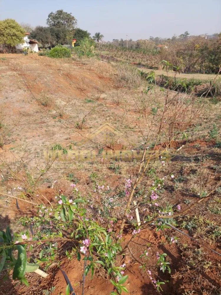 Loteamento e Condomínio, 3 hectares - Foto 5